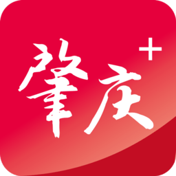 问鼎网综合体育：分析最新的体育动态与趋势
